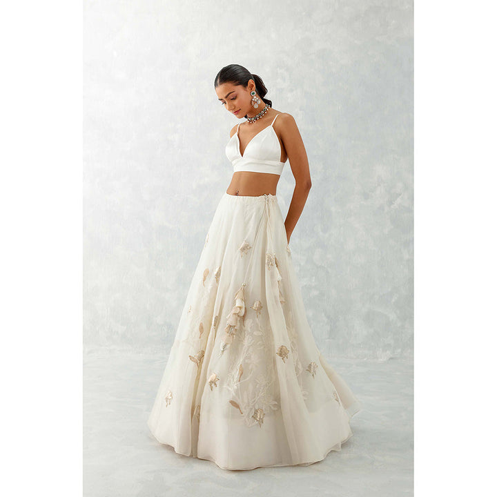 Devnaagri Ivory Silk Organza Cape Lehenga (Set of 3)