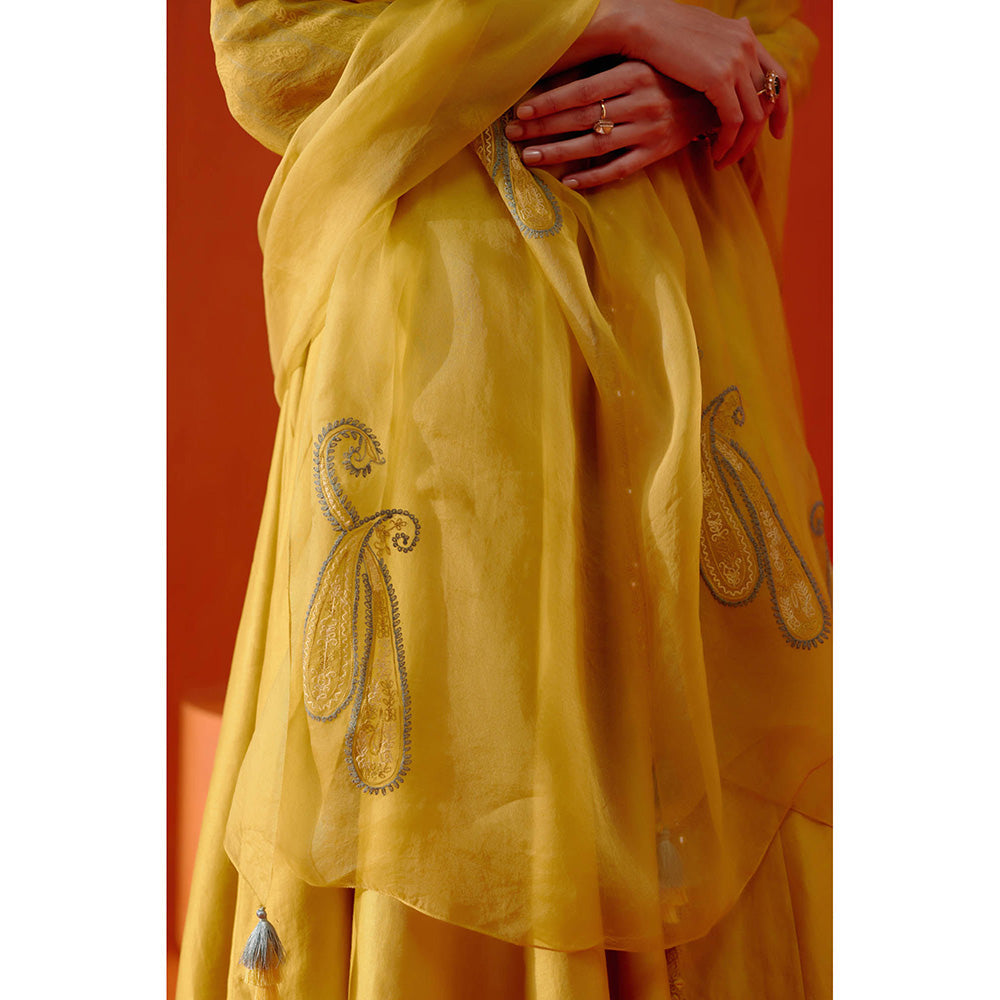 Devnaagri Mustard Embroidered Anarkali (Set of 3)