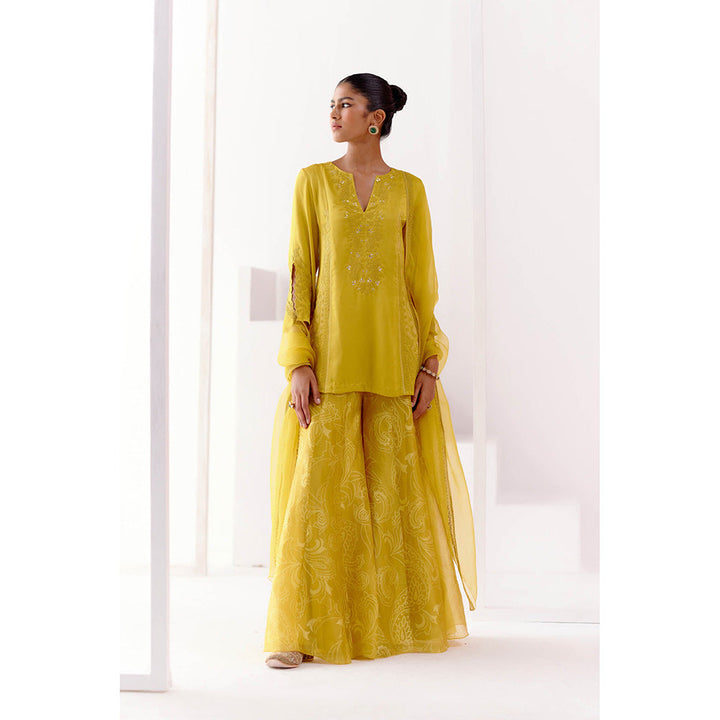 Devnaagri Mustard Embroidered Sharara (Set of 3)