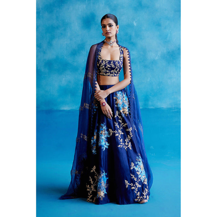 Devnaagri Navy Blue Silk Chanderi Hand Painted Lehenga (Set of 3)