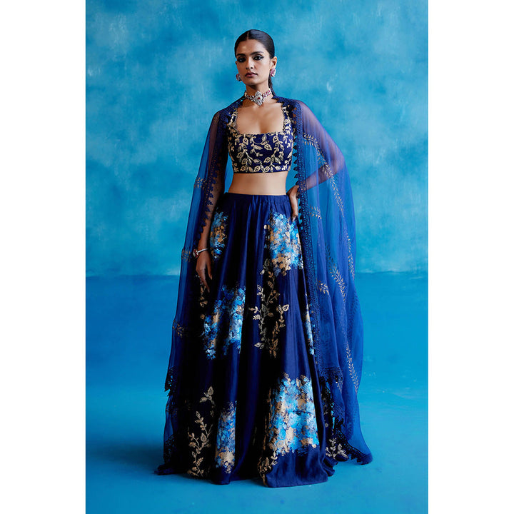 Devnaagri Navy Blue Silk Chanderi Hand Painted Lehenga (Set of 3)