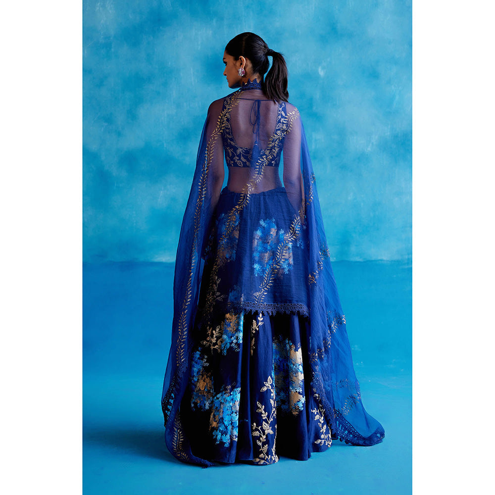 Devnaagri Navy Blue Silk Chanderi Hand Painted Lehenga (Set of 3)