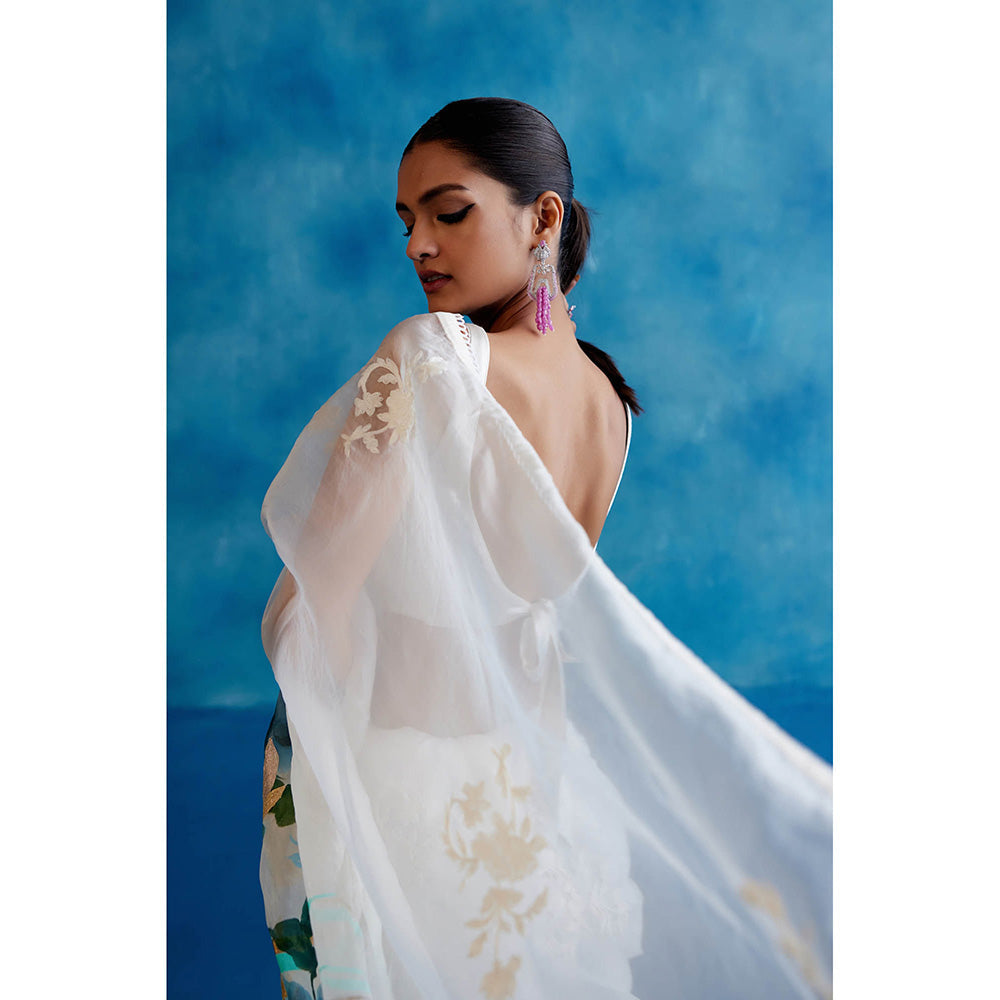 Devnaagri White & Blue Silk Hand Painted Embroidered Saree with Stitched Blouse