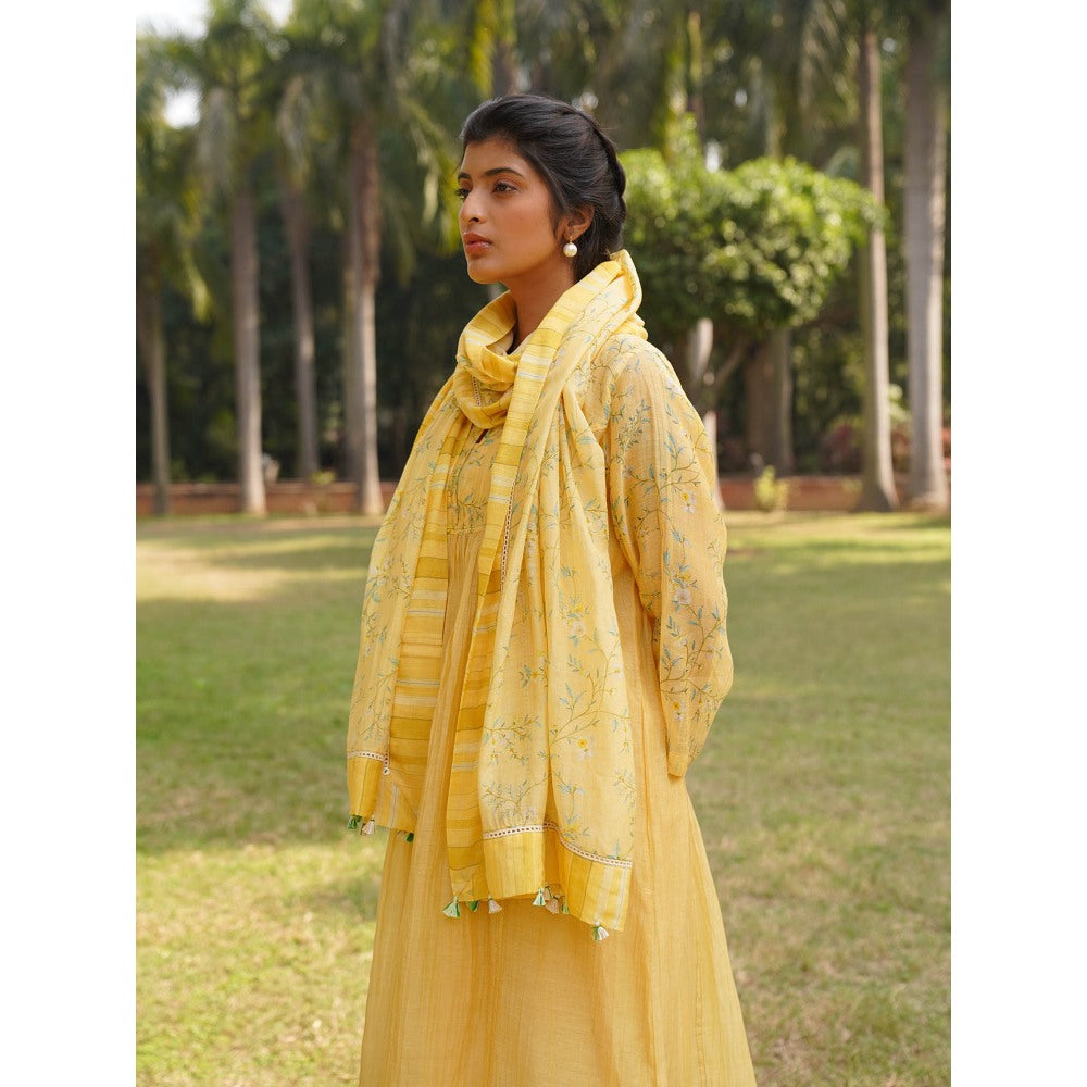 Dhaari by Deepika Handwoven Cotton Silk Fabric Dupatta with Tassels On The Corner & Hand Painted
