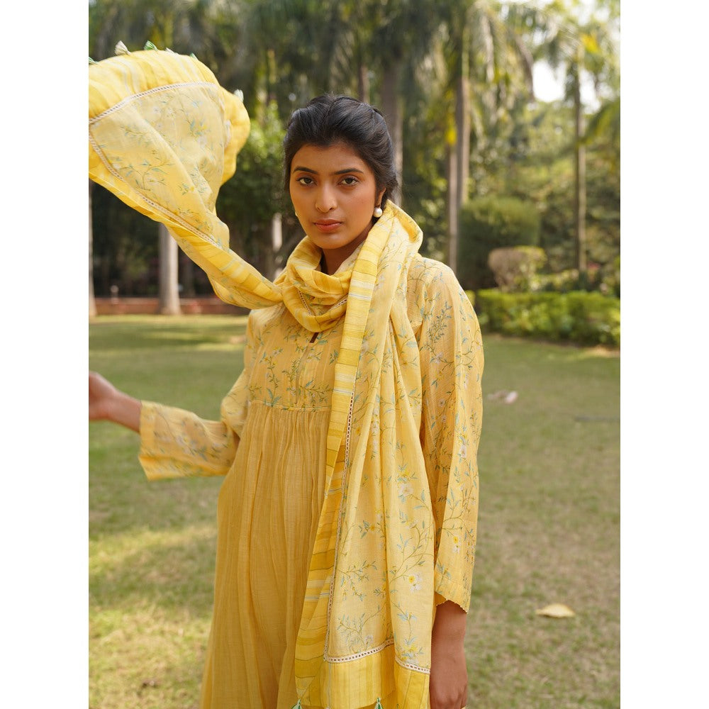 Dhaari by Deepika Handwoven Cotton Silk Fabric Dupatta with Tassels On The Corner & Hand Painted