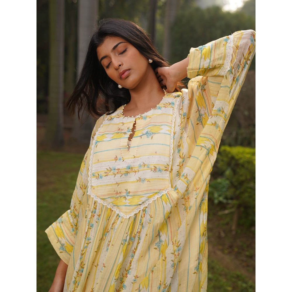 Dhaari by Deepika Handwoven Dress with Hand Paint & Kantha Embroidery with Pearls Neckline