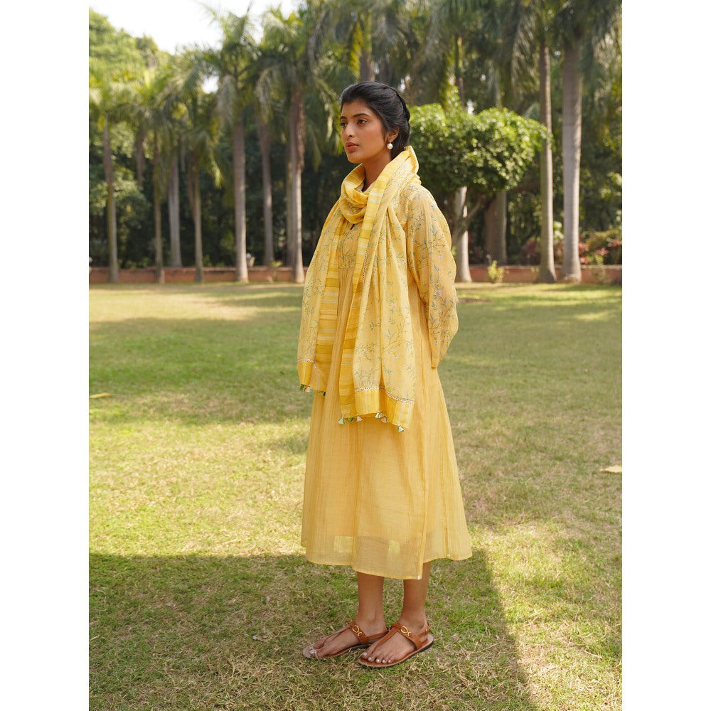 Dhaari by Deepika Handwoven Dress with Hand Paint & Kantha Embroidery & Pearls Neckline