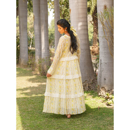 Dhaari by Deepika Handwoven Cotton Silk Hand Painted Dress