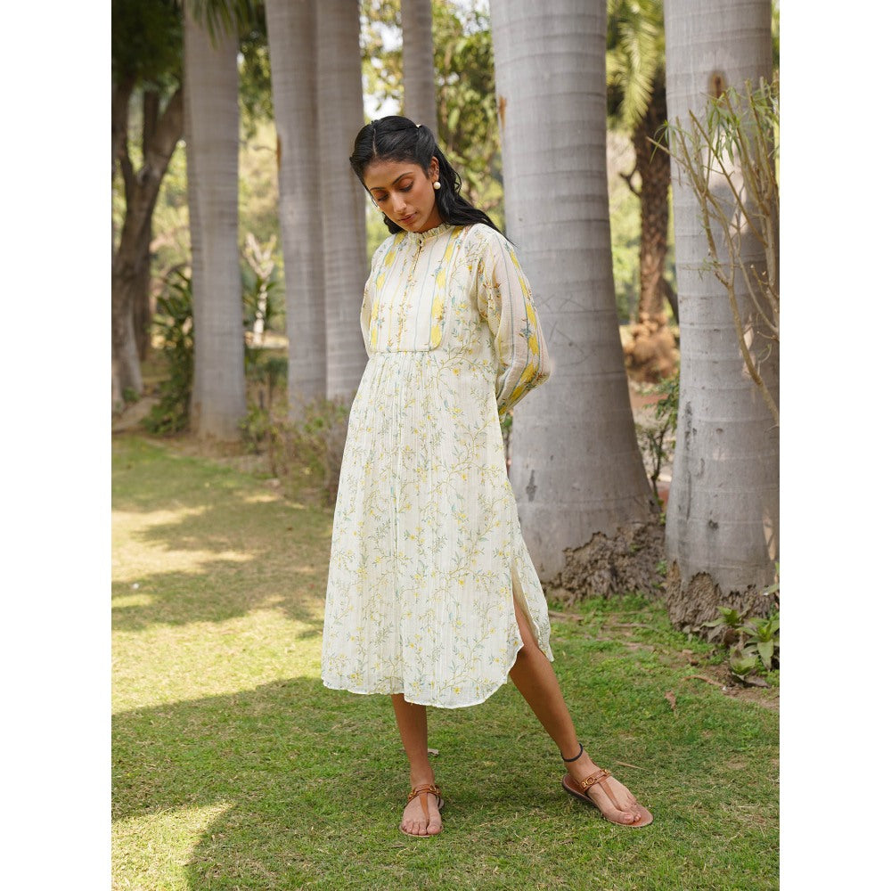 Dhaari by Deepika Handwoven Cotton Silk Hand Painted Dress