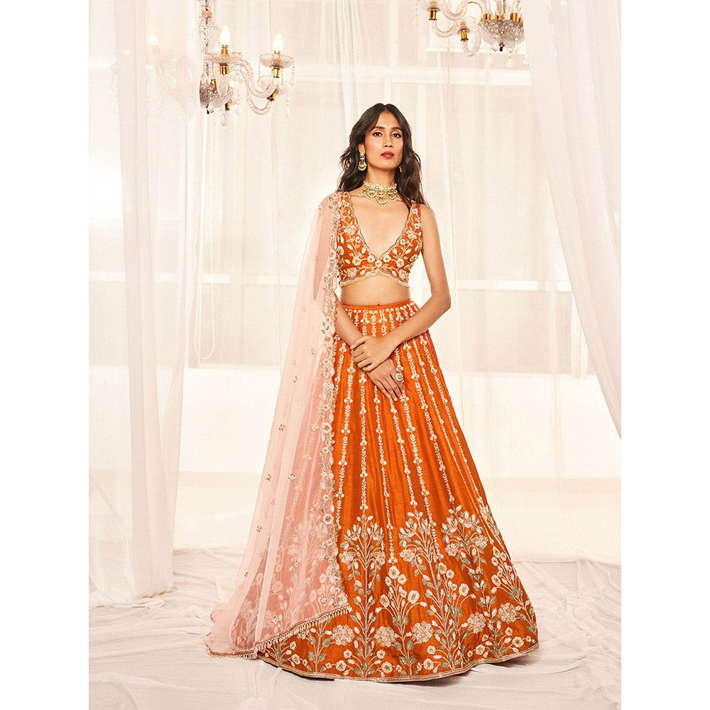DISHA MUCHHALA Burnt Orange Bridal Lehenga with Blouse and Dupatta (Set of 3)