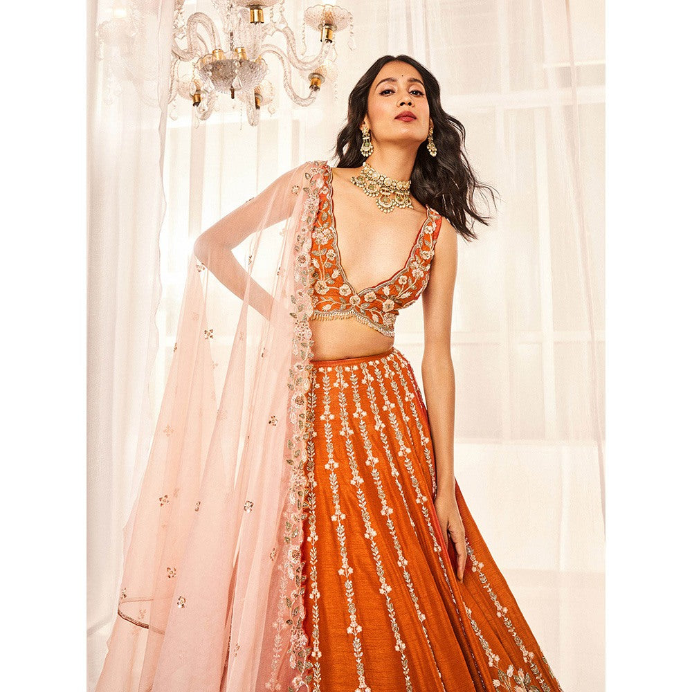 DISHA MUCHHALA Burnt Orange Bridal Lehenga with Blouse and Dupatta (Set of 3)
