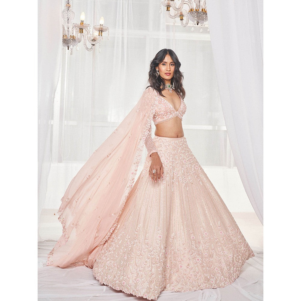DISHA MUCHHALA Light Pink Bridal Lehenga with Blouse and Dupatta (Set of 3)