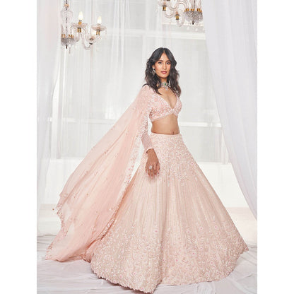 DISHA MUCHHALA Light Pink Bridal Lehenga with Blouse and Dupatta (Set of 3)