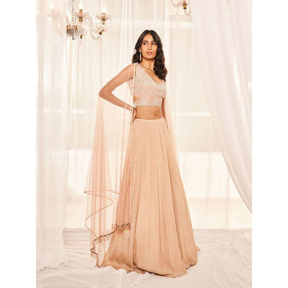 DISHA MUCHHALA Blush Pink Lehenga with Blouse and Dupatta (Set of 3)