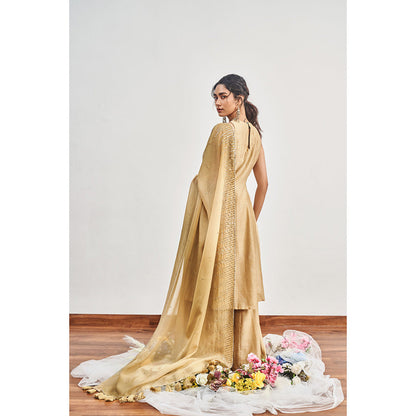 DISHA MUCHHALA Gold Kalidar Embellished Kurta with Palazzo and Dupatta (Set of 3)