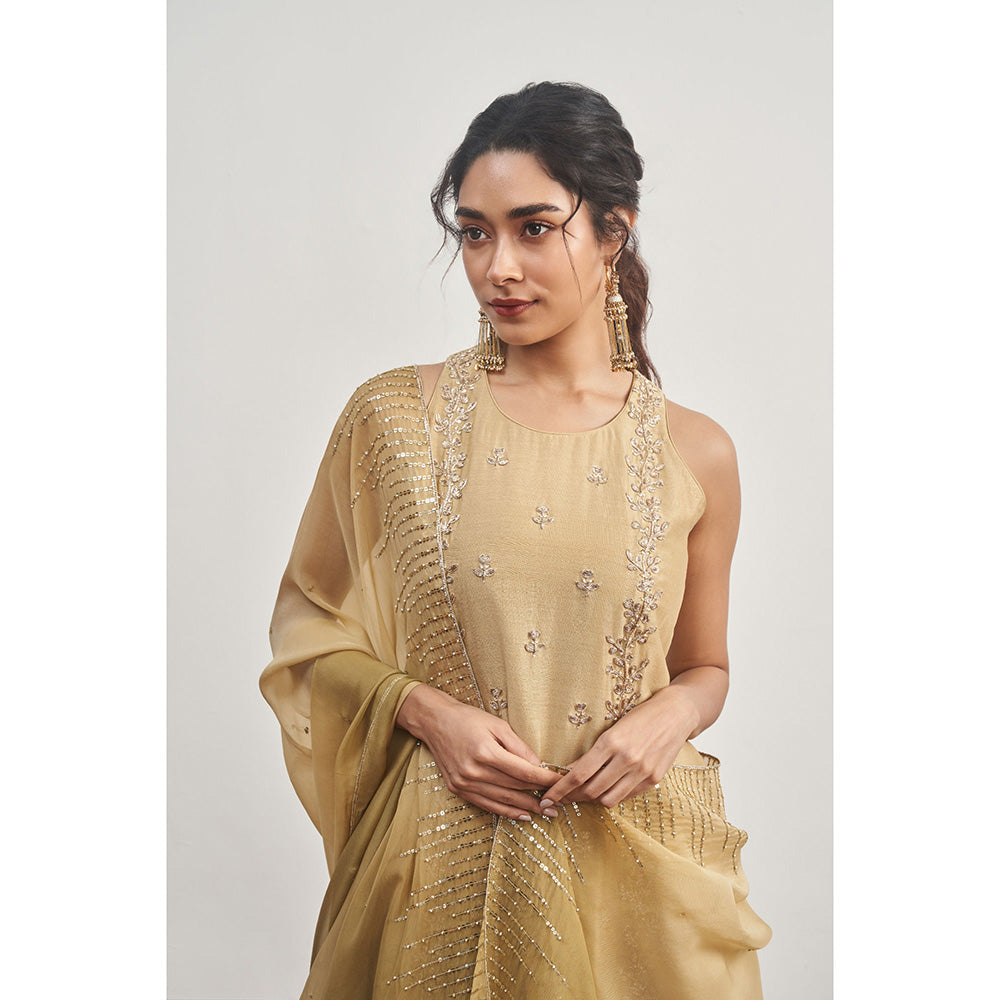 DISHA MUCHHALA Gold Kalidar Embellished Kurta with Palazzo and Dupatta (Set of 3)