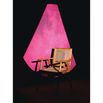 DOHR INDIA Areeba Black Floral Printed Organza Saree with Unstitched Blouse