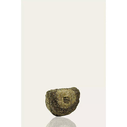DOUX AMOUR Coco Vintage Gold Embellished Clutch