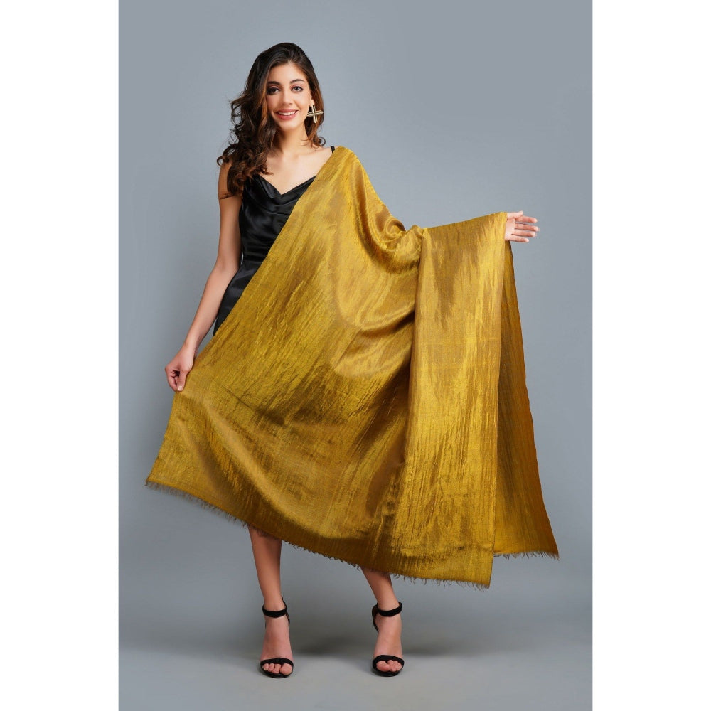 Dusala India Handwoven Gold Zari Pashmina Shawl