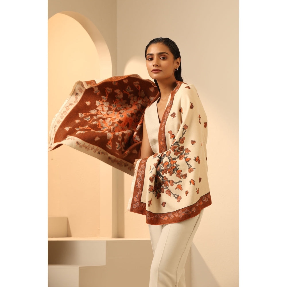 Dusala India Kiara Cashmere Stole