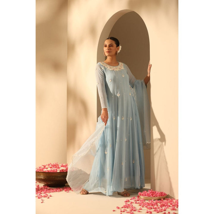 Dusala India Aashi Blue Embroidered Dress with Dupatta (Set of 2)