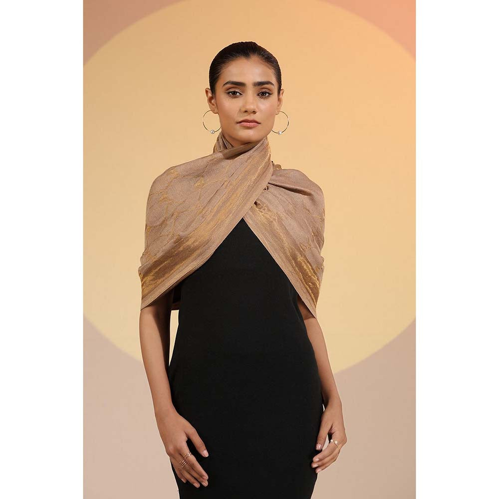 Dusala India Brown Ashti Dusala Cashmere Fine Wool Stole