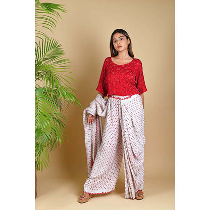 Dyelogue Pant Saree