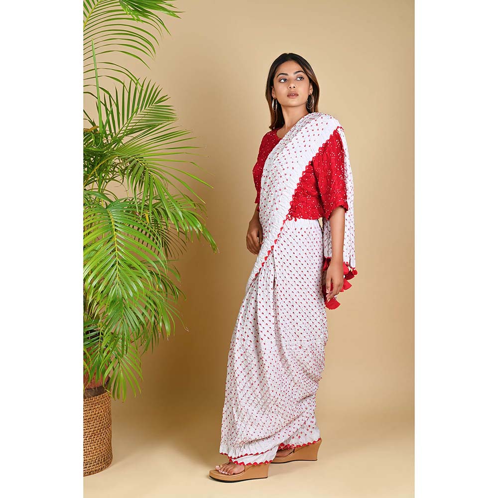 Dyelogue Pant Saree