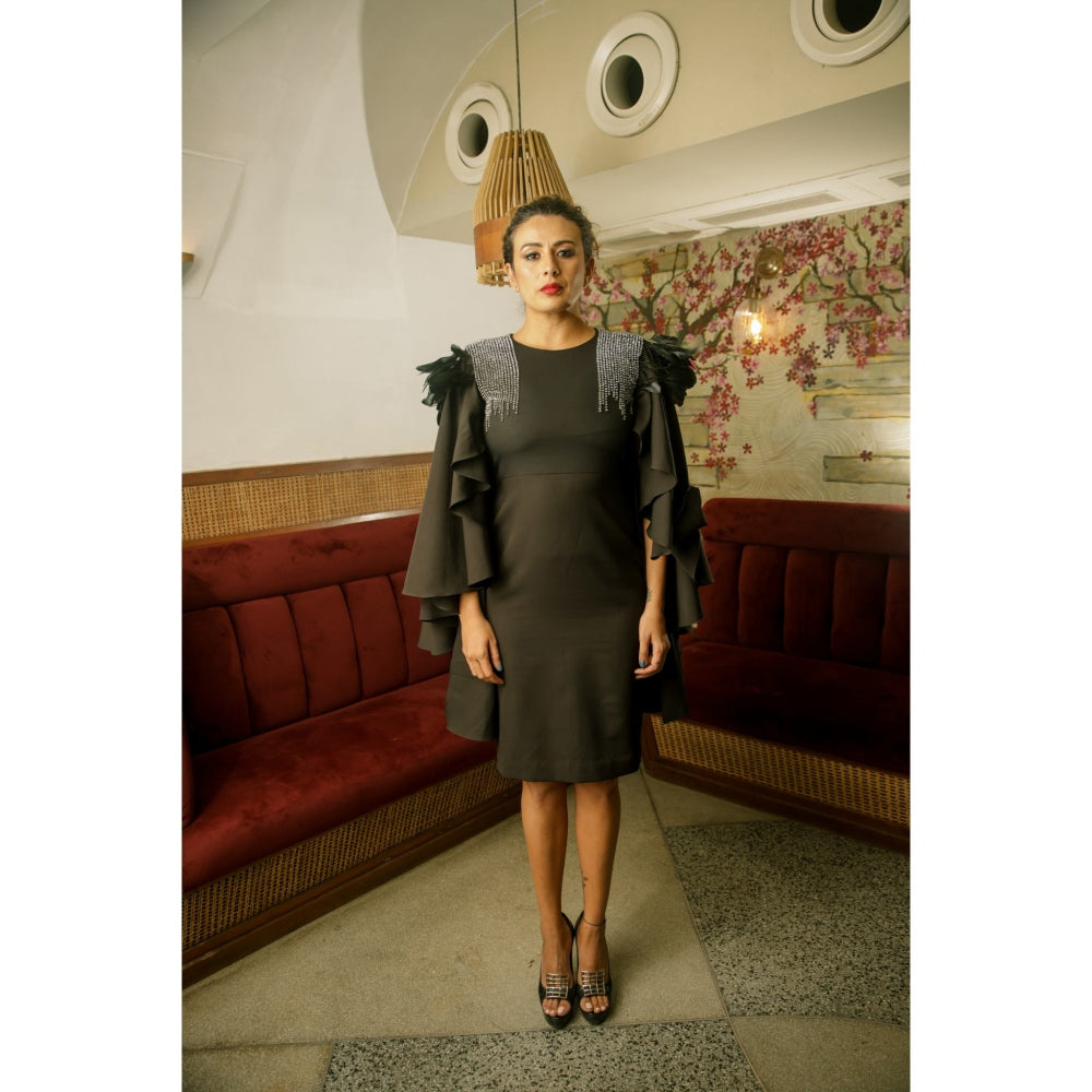 Echke Knee length with Embellishments and Feathers