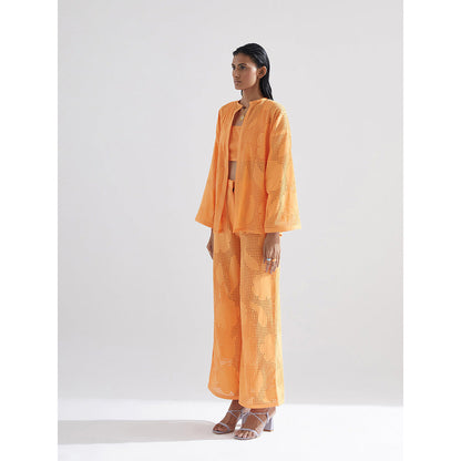 EchoStudio Poppy Jacket, Pant & Bralet Sets (Set of 3)