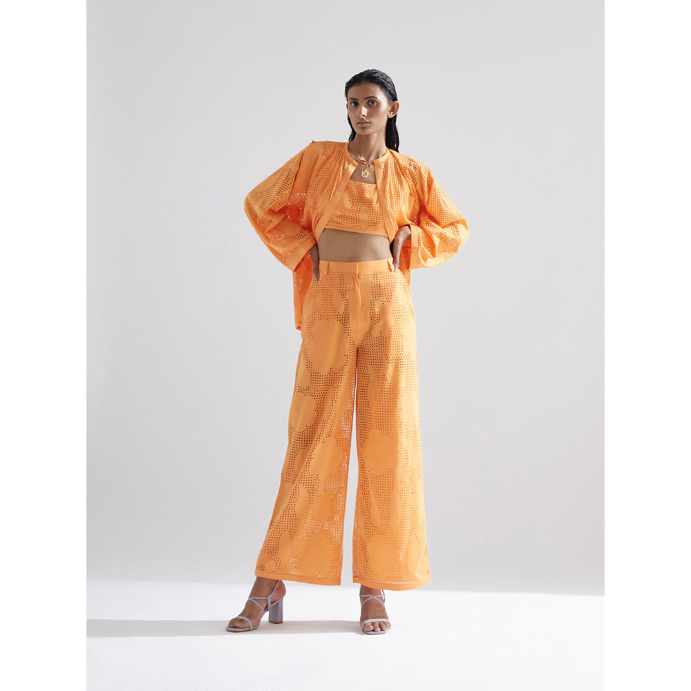 EchoStudio Poppy Pant