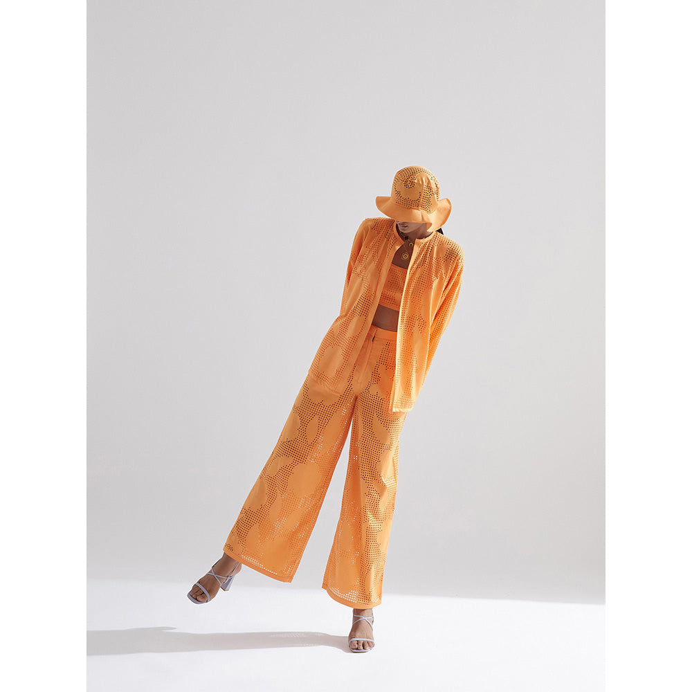 EchoStudio Poppy Pant