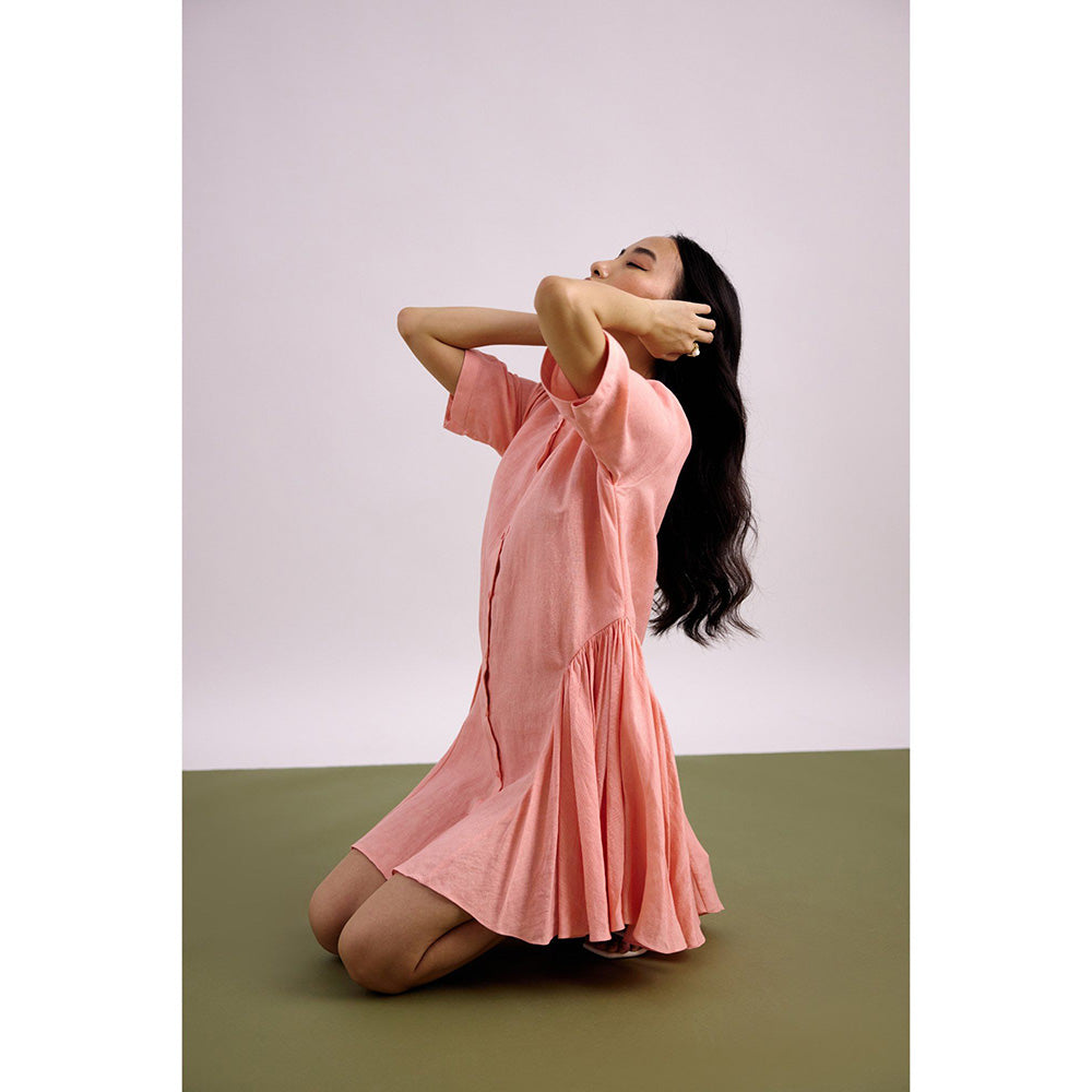 EchoStudio Pink Drift Dress