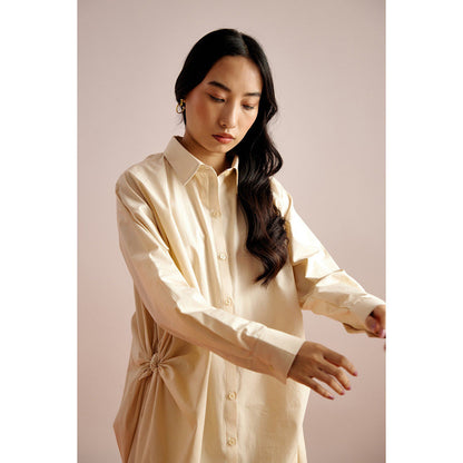 EchoStudio Joe Shirt Dress