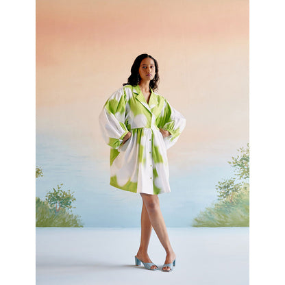 EchoStudio Green Carla Lily Dress