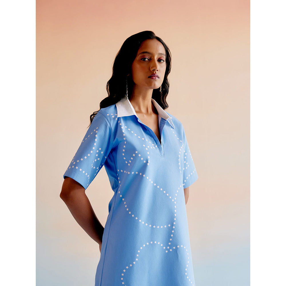 EchoStudio Blue Flora Dress