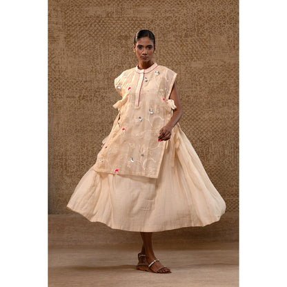 EEDA Taral Off White A Line Organza Applique Dress with Overlay