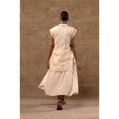 EEDA Taral Off White A Line Organza Applique Dress with Overlay
