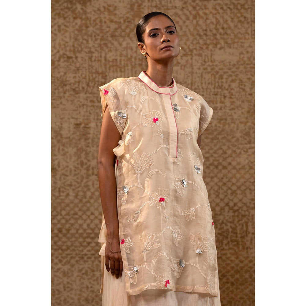 EEDA Taral Off White A Line Organza Applique Dress with Overlay