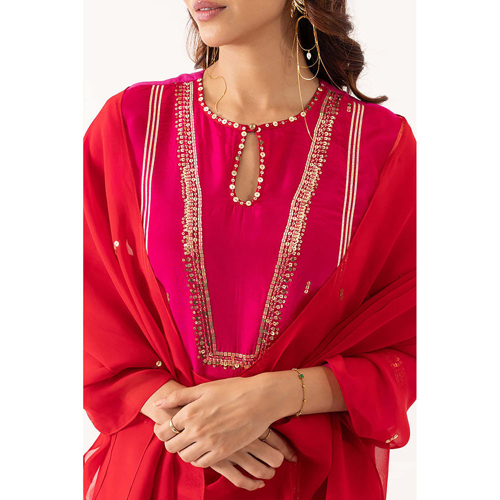 EESHA GUPTA Organza Silk Festive Kurta with Sharara & Dupatta (Set of 3)