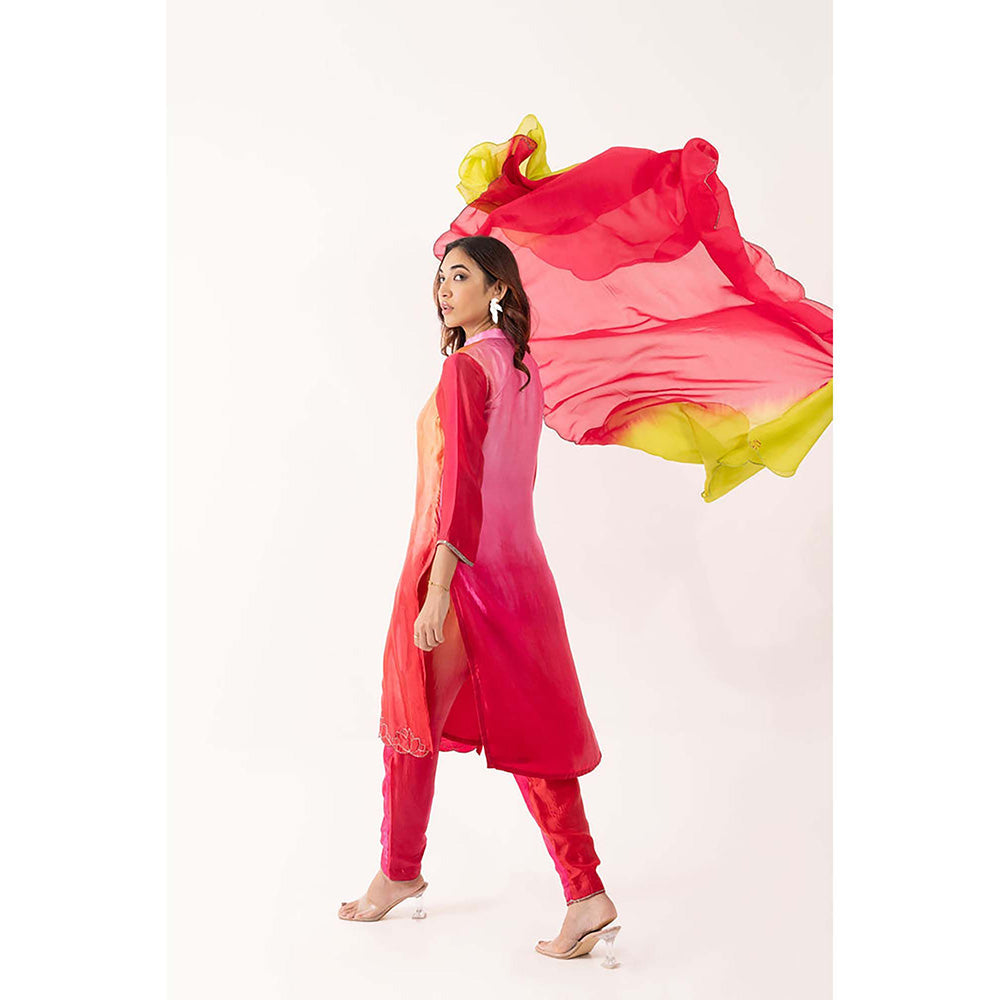 EESHA GUPTA Lotus Embroidered Shaded Kurta with Pant & Dupatta (Set of 3)