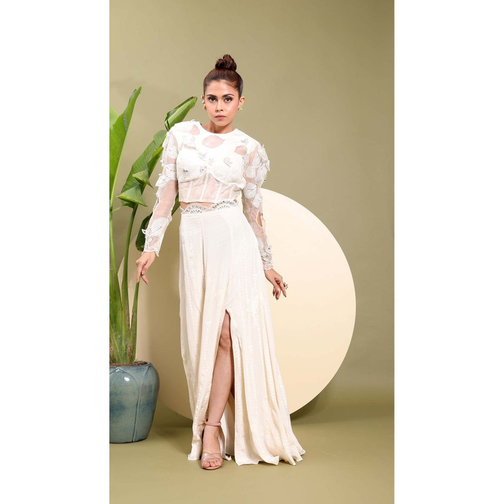 EK Soot White Embroidered Top with Skirt (Set of 2)