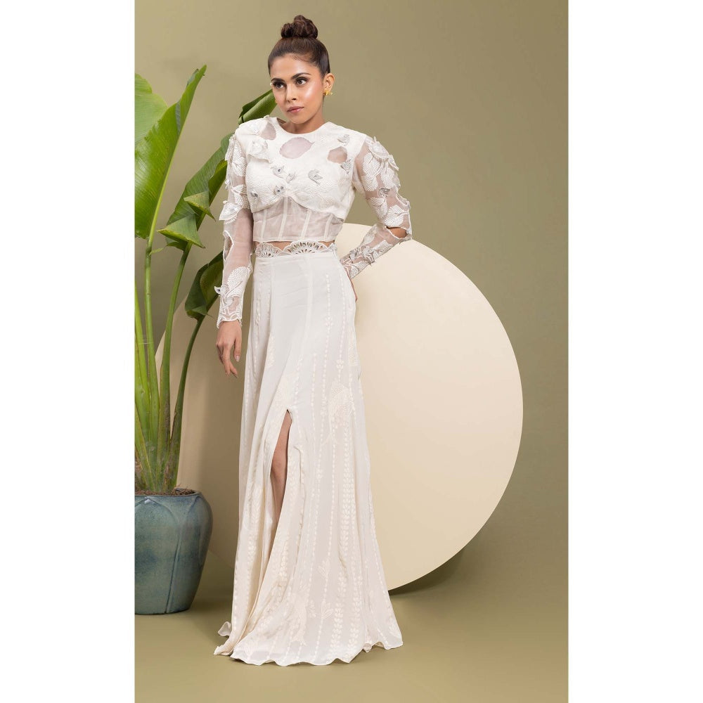 EK Soot White Embroidered Top with Skirt (Set of 2)