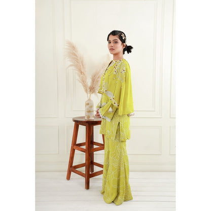 EK Soot Yellow Crepe Embroidered Short Kurta and Flared Pant (Set of 2)