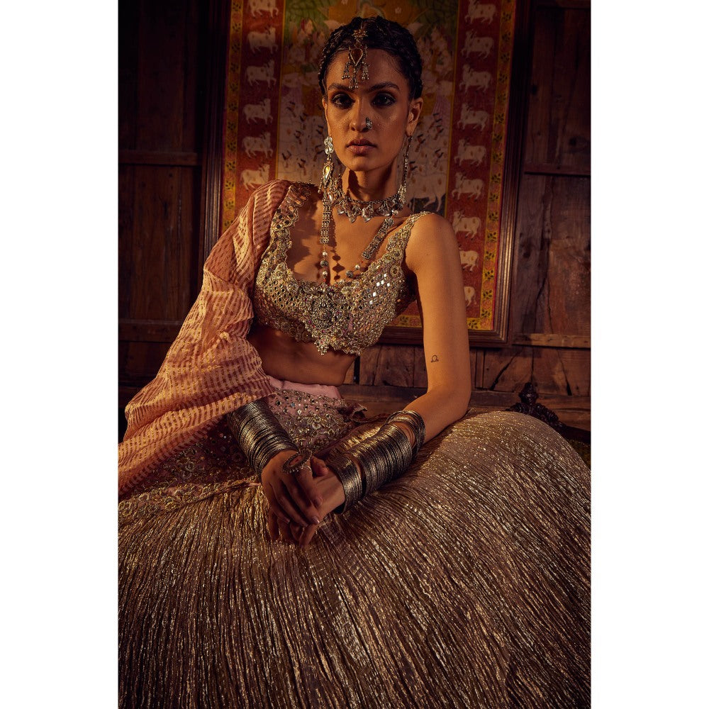 Etasha by Asha Jain Pink Embellished Mirror Blouse with Lehenga and Dupatta (Set of 3)