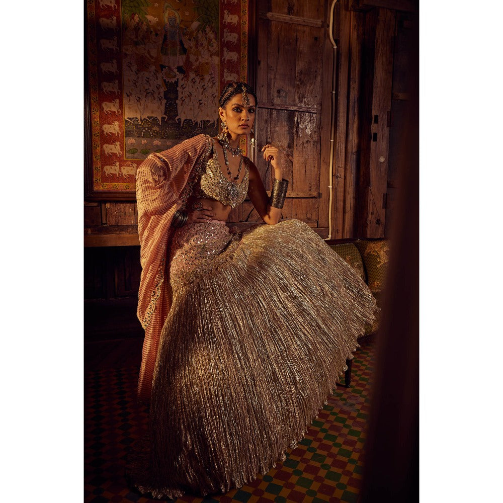 Etasha by Asha Jain Pink Embellished Mirror Blouse with Lehenga and Dupatta (Set of 3)