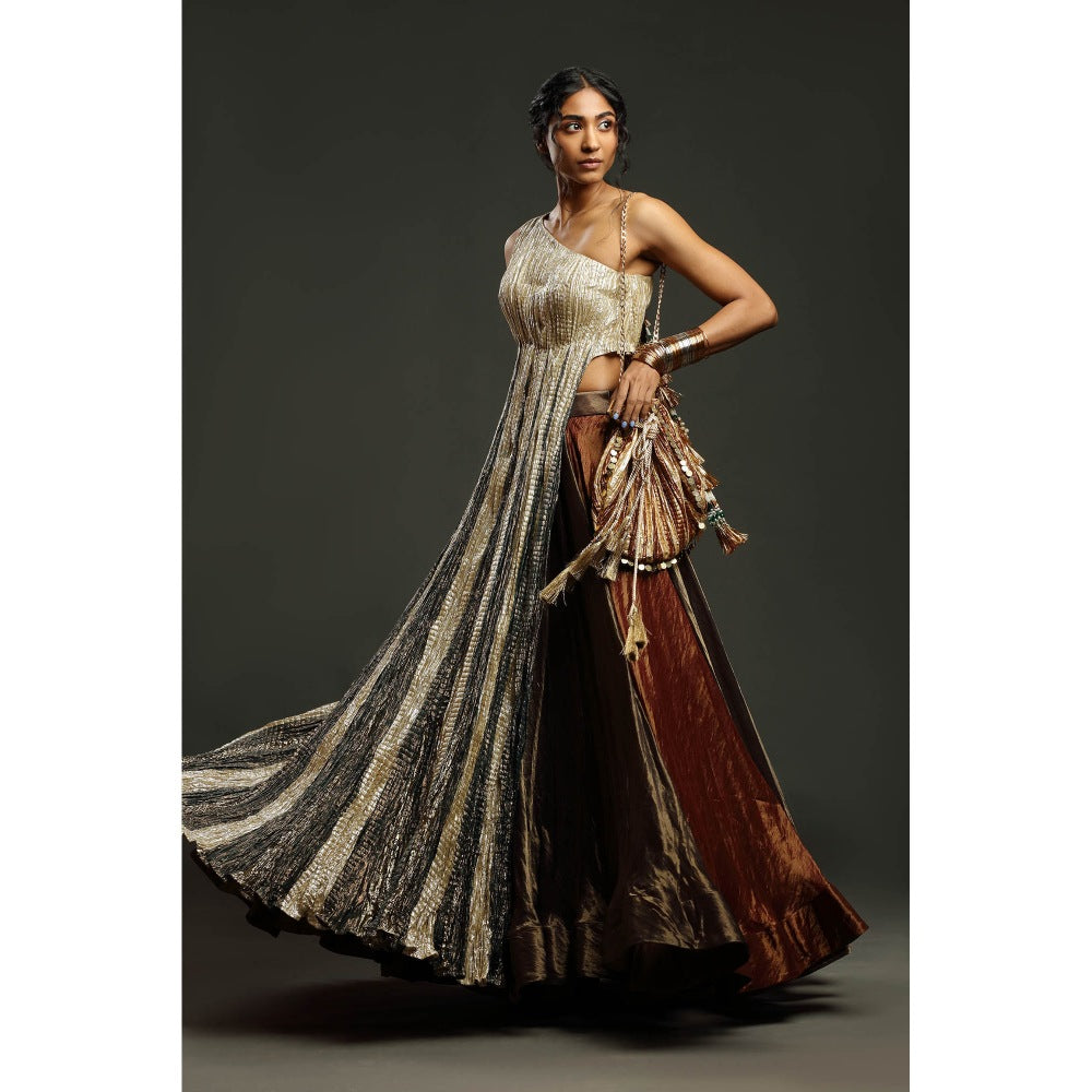 Etasha by Asha Jain The Metallic One Shoulder Flared Top with Skirt (Set of 2)