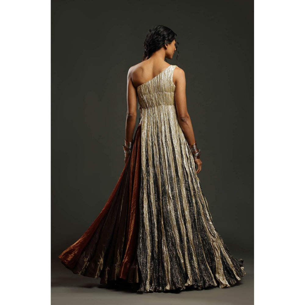 Etasha by Asha Jain The Metallic One Shoulder Flared Top with Skirt (Set of 2)