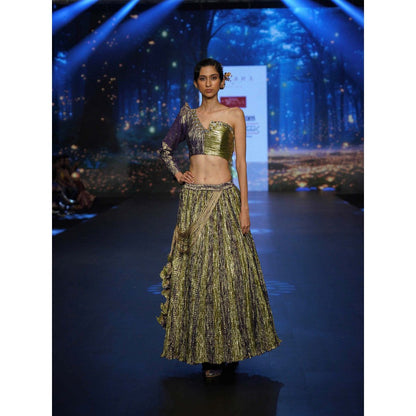 Etasha by Asha Jain Multi-Colour Metallic Tissue Top with Skirt (Set of 2)