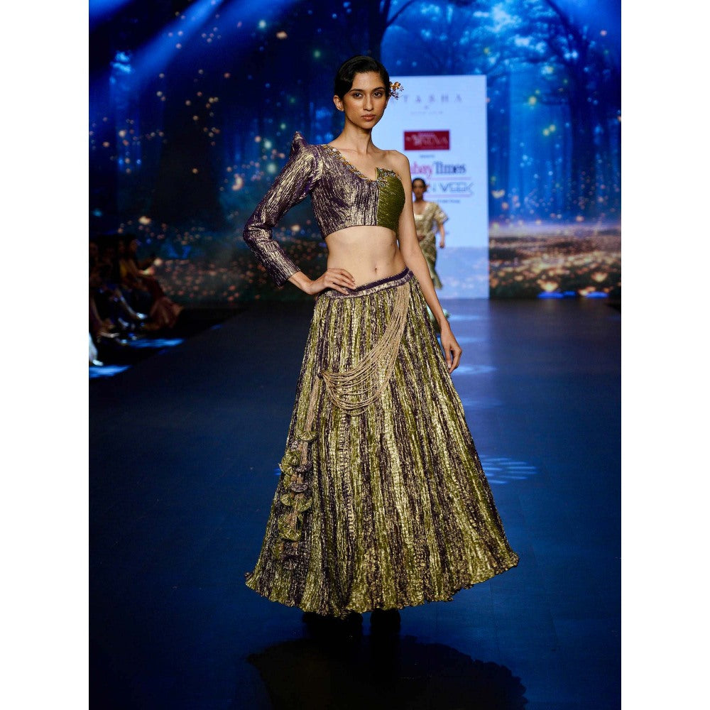 Etasha by Asha Jain Multi-Colour Metallic Tissue Top with Skirt (Set of 2)